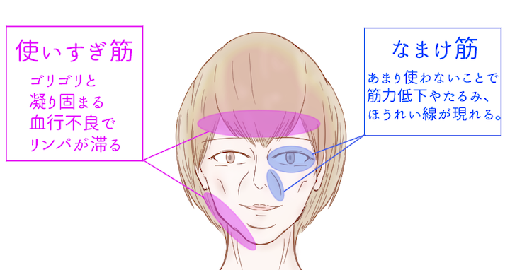 使いすぎ筋、なまけ筋